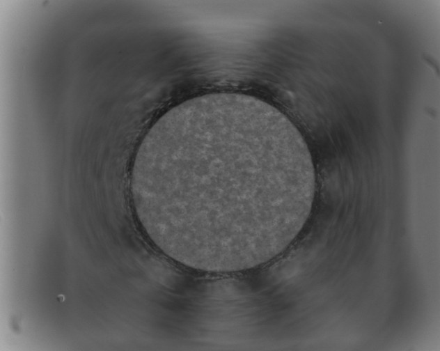 X0000091350769200708311515