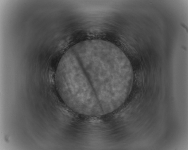 X0000091350770200708311515