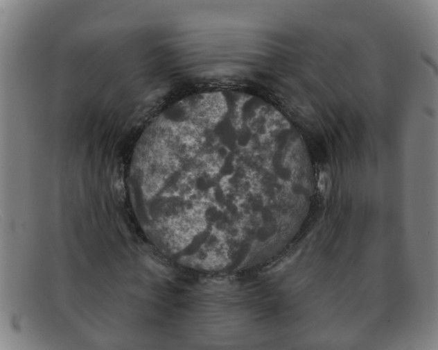 X0000091350771200708311515