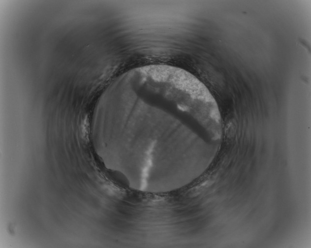 X0000091350772200708311515
