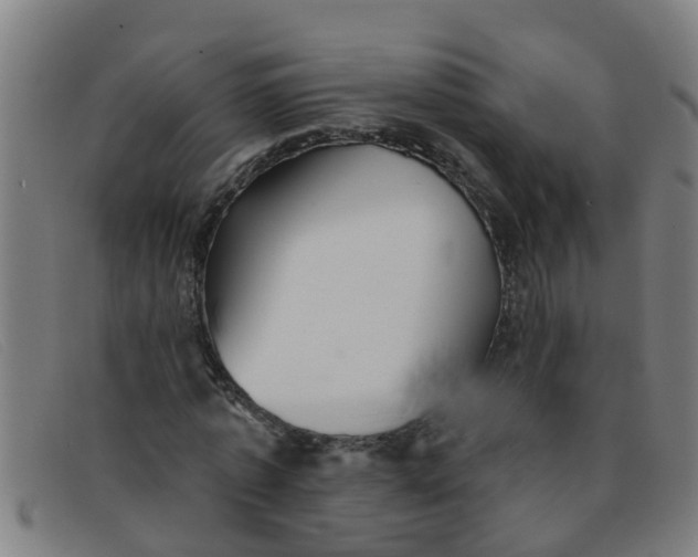 X0000091350773200708311515