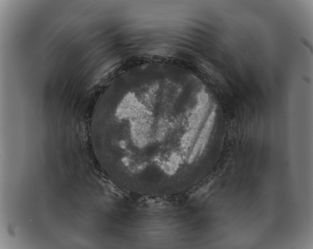 X0000091350774200708311515