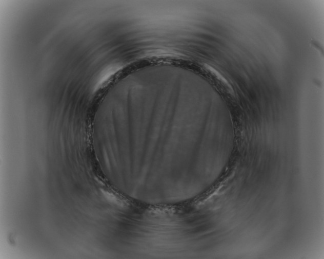 X0000091350775200708311515
