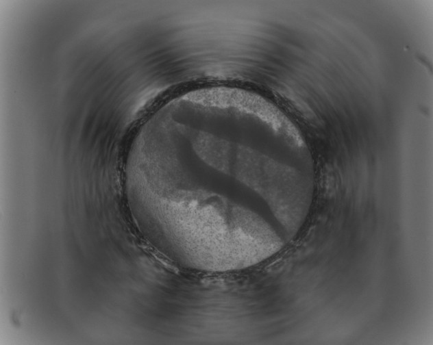 X0000091350776200708311515
