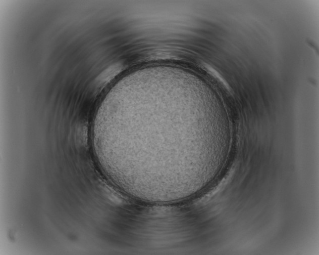X0000091350777200708311515