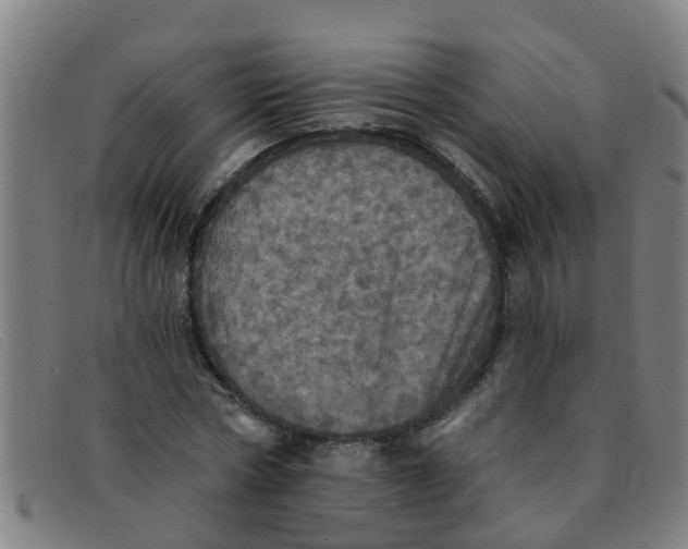 X0000091350778200708311515