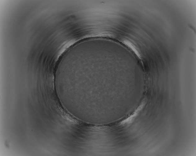 X0000091350781200708311515