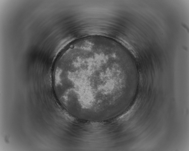 X0000091350782200708311515