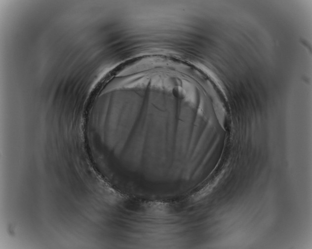X0000091350783200708311515