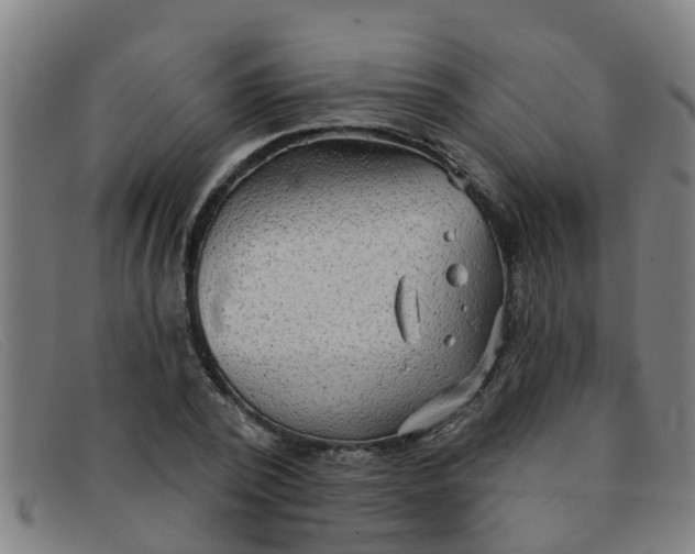 X0000091350784200708311515