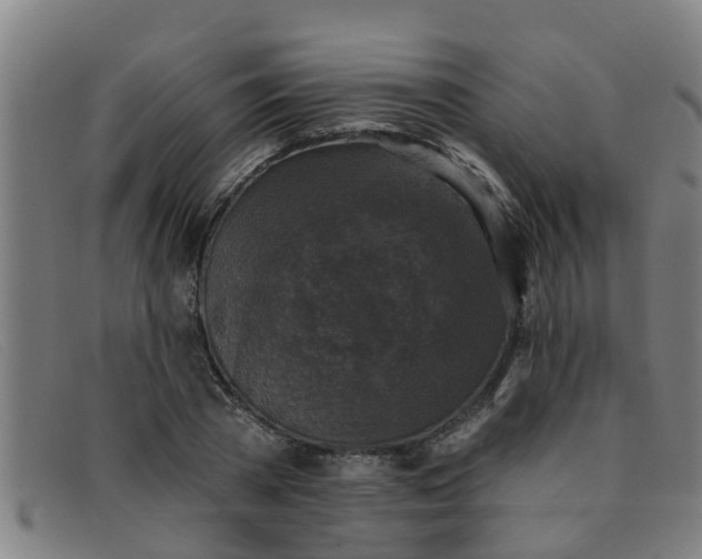 X0000091350785200708311515
