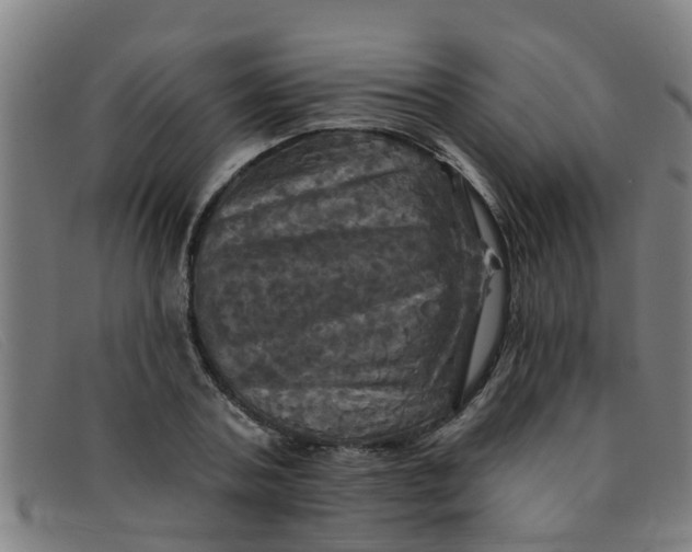 X0000091350787200708311515