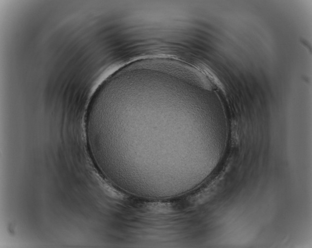 X0000091350789200708311515