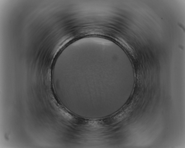 X0000091350790200708311515