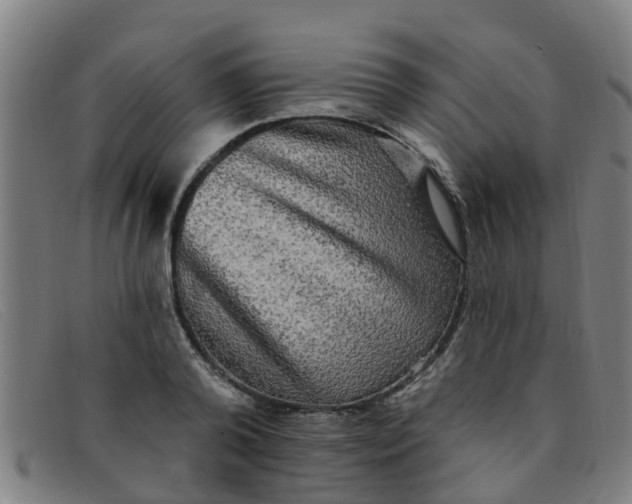 X0000091350792200708311515