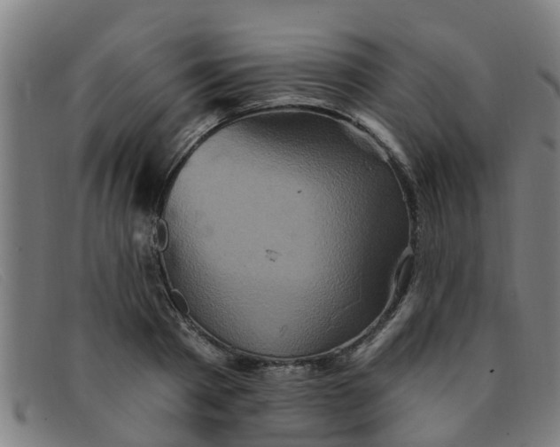 X0000091350793200708311515
