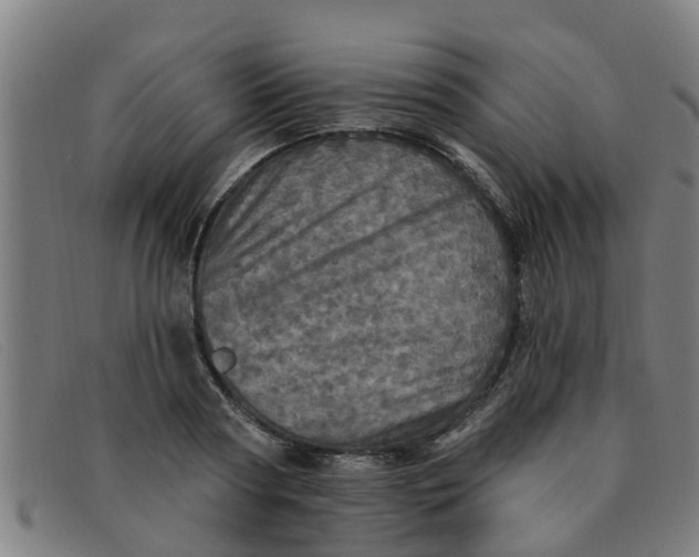 X0000091350794200708311515