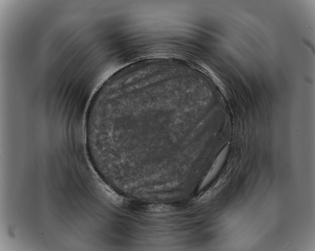 X0000091350795200708311515