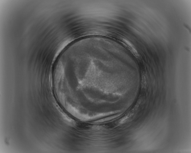 X0000091350796200708311515