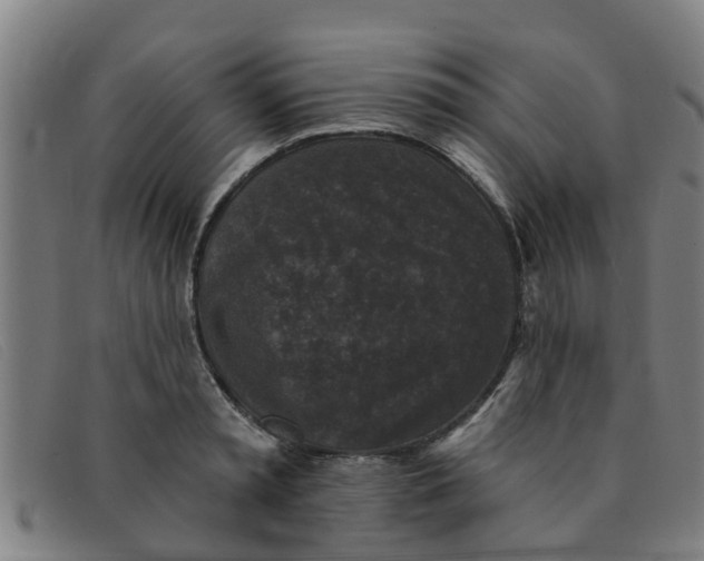 X0000091350797200708311515