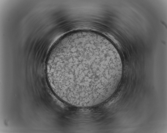 X0000091350799200708311515