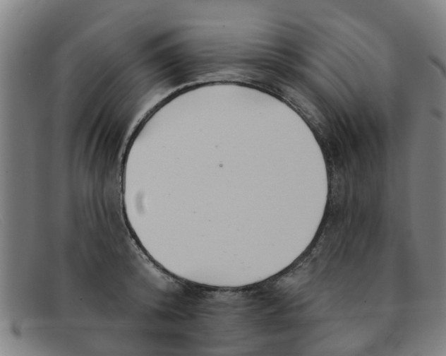 X0000091350800200708311515