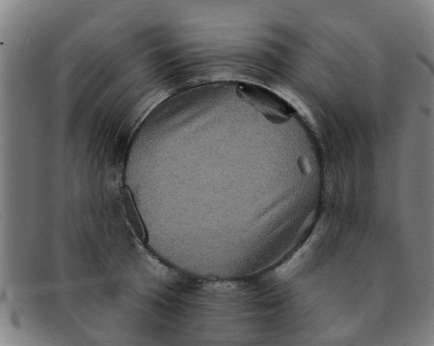 X0000091350801200708311515