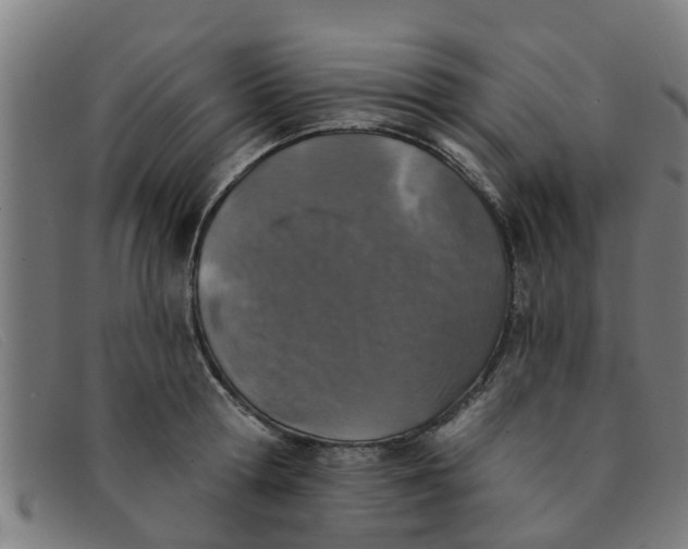 X0000091350802200708311515