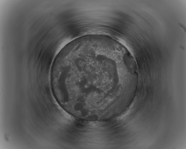 X0000091350803200708311515
