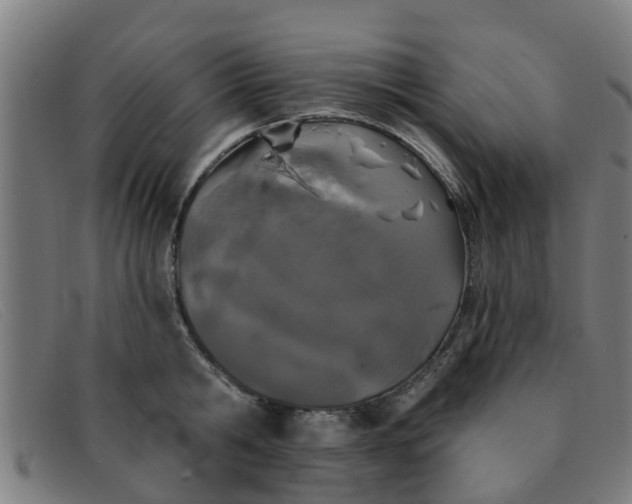 X0000091350806200708311515