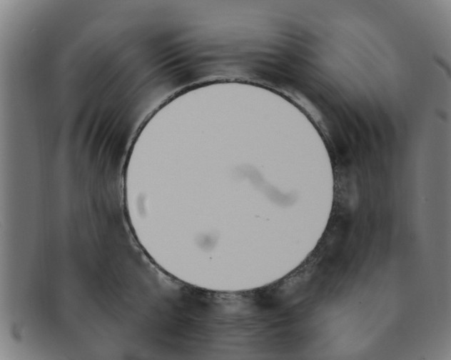 X0000091350807200708311515