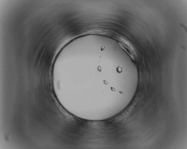 X0000091350808200708311515