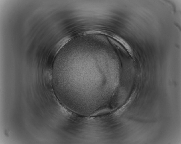 X0000091350809200708311515