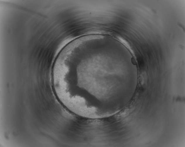 X0000091350811200708311515
