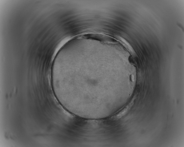 X0000091350812200708311515
