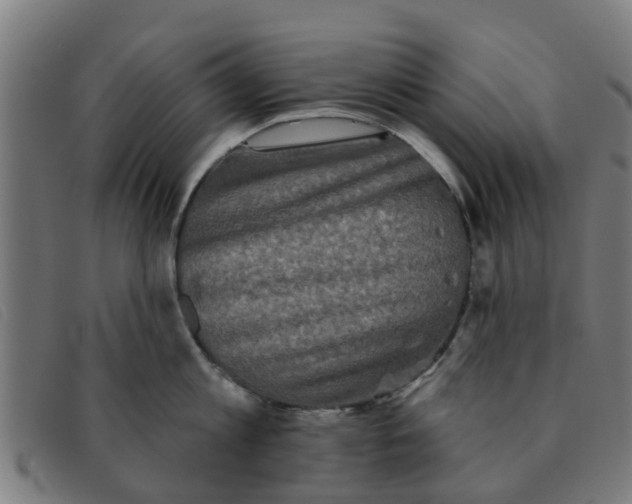X0000091350813200708311515