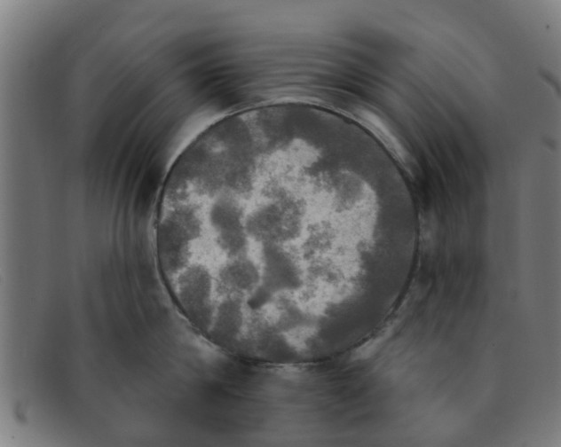 X0000091350814200708311515
