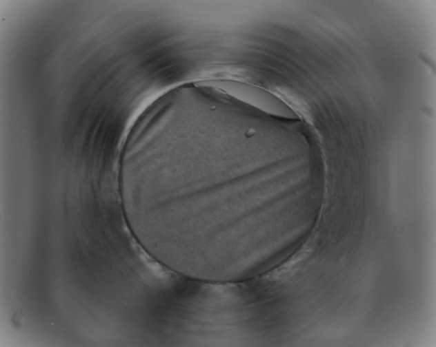 X0000091350816200708311515