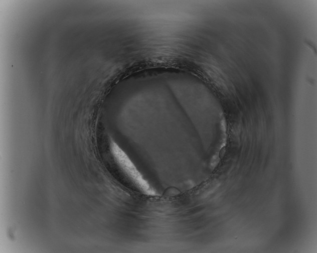 X0000091350817200708311514