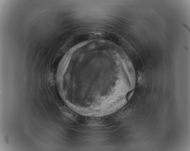 X0000091350819200708311514