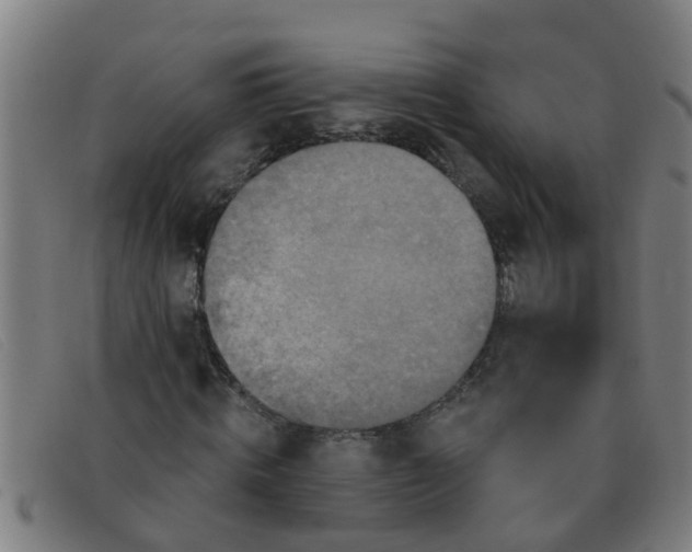 X0000091350820200708311514