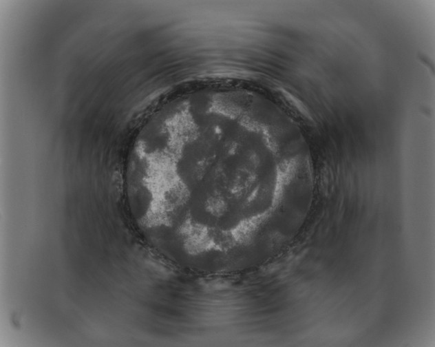 X0000091350821200708311514