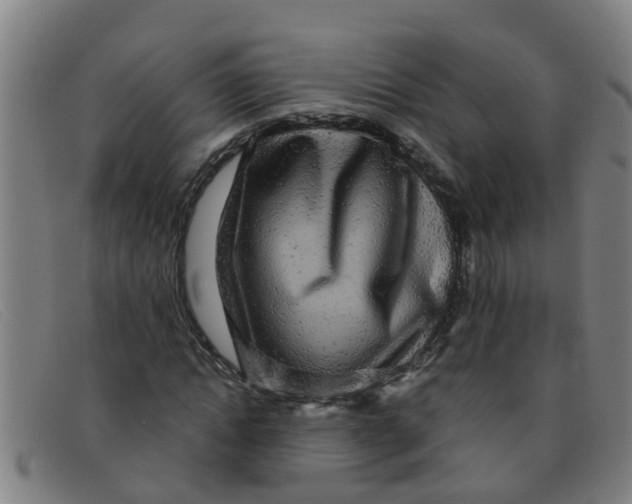 X0000091350822200708311514