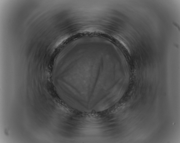 X0000091350823200708311514