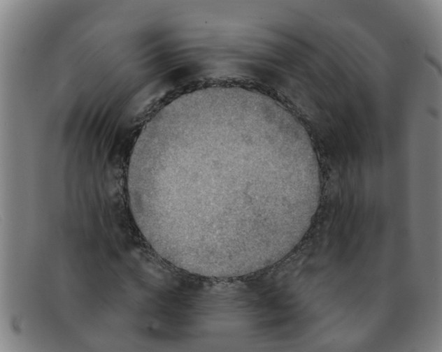 X0000091350824200708311514