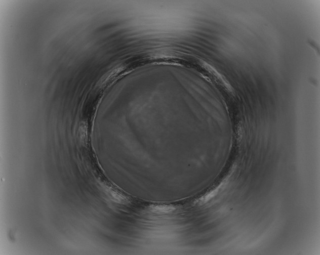 X0000091350825200708311514
