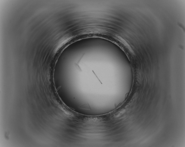 X0000091350826200708311514