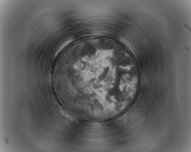 X0000091350827200708311514
