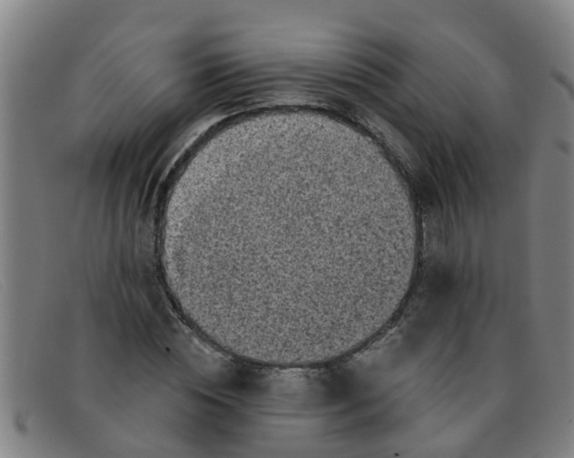 X0000091350828200708311514