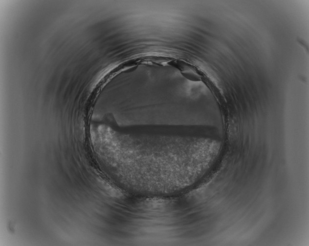 X0000091350829200708311514